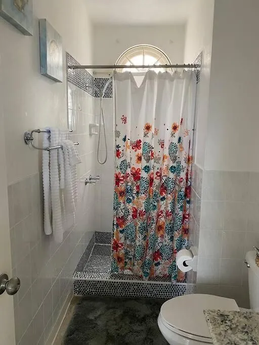 Coastal Beauty - Beautiful Penthouse Condo In Ocho Rios Jamajka